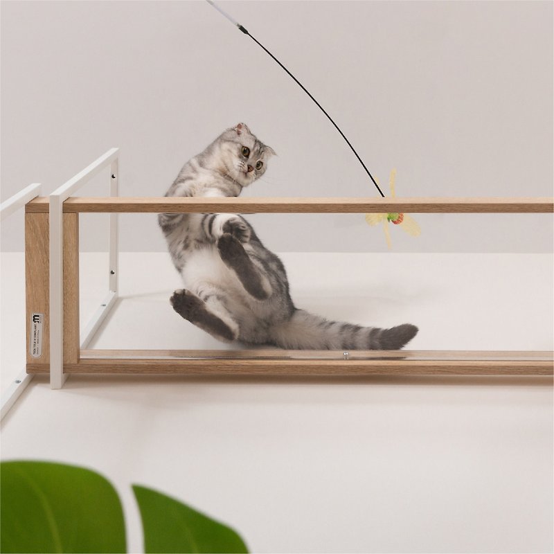 Cat Walkway Bridge | Avenue Cat Shelf (Transparent Board)| Myzoo Design - Pet Toys - Wood Khaki