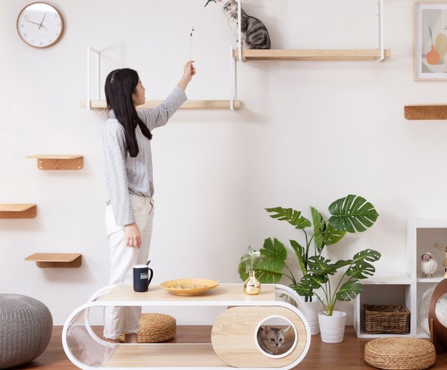 キャットステップ/ウォールシェルフ】MYZOO-AVENUE/クリア - ショップ