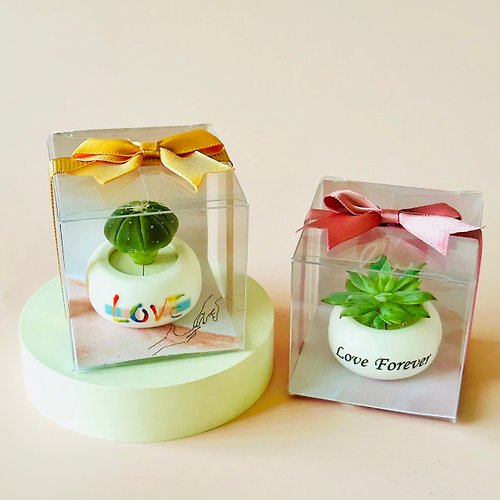 Green Pandora 療癒系綠植 【婚禮小物】客製單入迷你磁鐵盆栽-植物樣式隨機