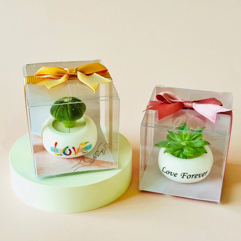 [Wedding favors] Customized single mini magnet potted plants - random plant styles - Plants - Plastic White