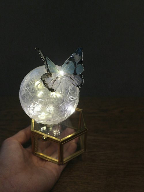 Bettina and Craft 【沾浸藝術•玻璃飾盒 •Moony系列】蝴蝶。小夜燈。生日禮物