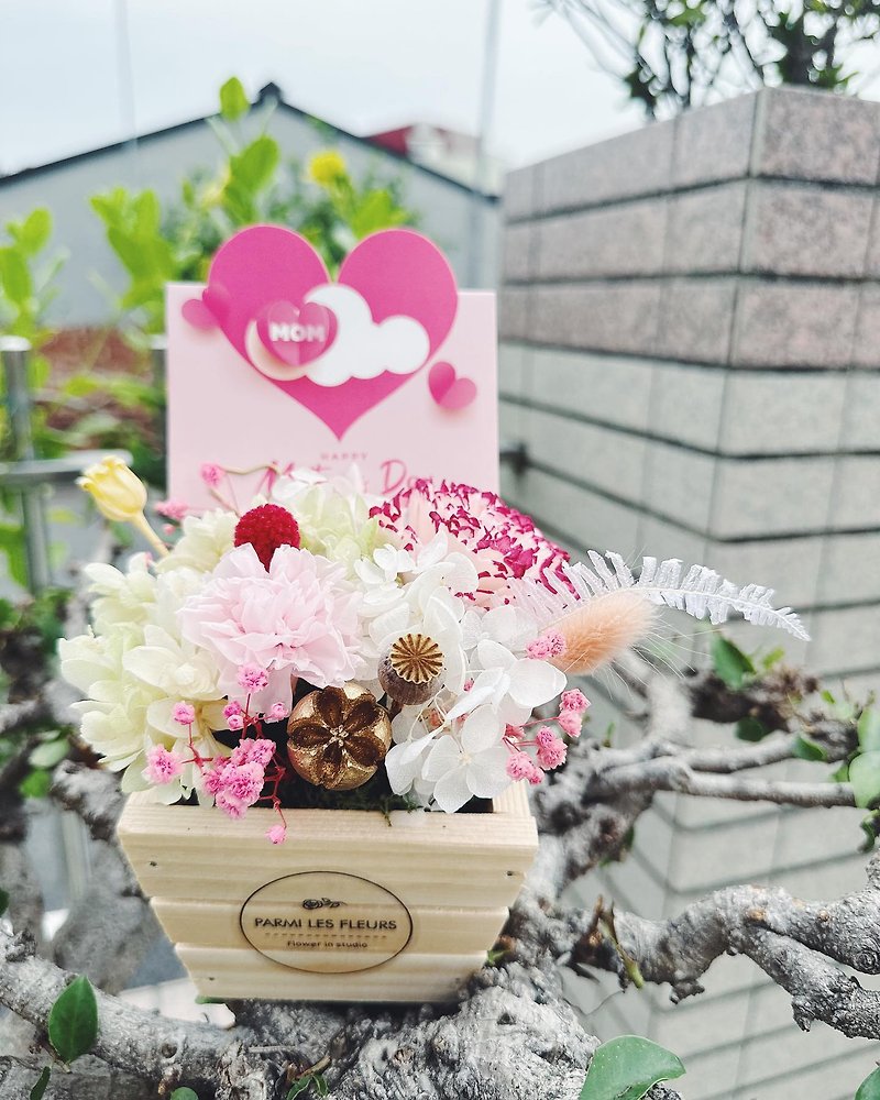 Mother's Day/Wood/Diffuse Carnations/Potted Flowers - ช่อดอกไม้แห้ง - พืช/ดอกไม้ 