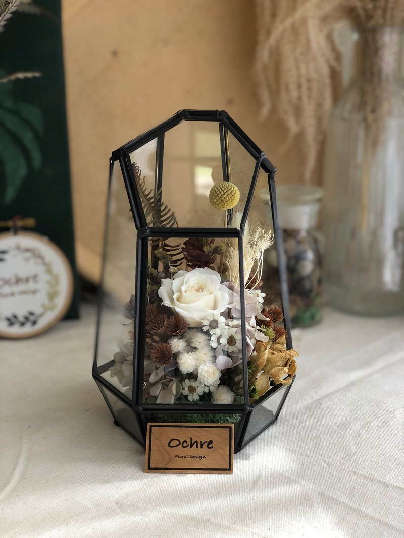 Ochre 玻璃花房系列-鑽石黑邊 - 乾燥花/永生花 - 植物．花 白色