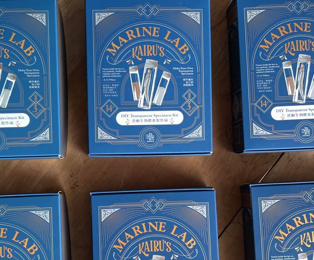 DIY手作り透明標本作製セット ギフトボックス カイルマリンラボ 全4種
