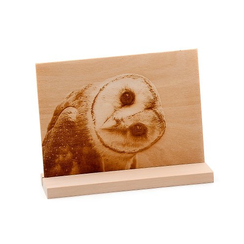 芬多森林 照片雕刻木刻畫-台灣檜木底座|可刻字珍藏轉刻相片美好的曠世之作