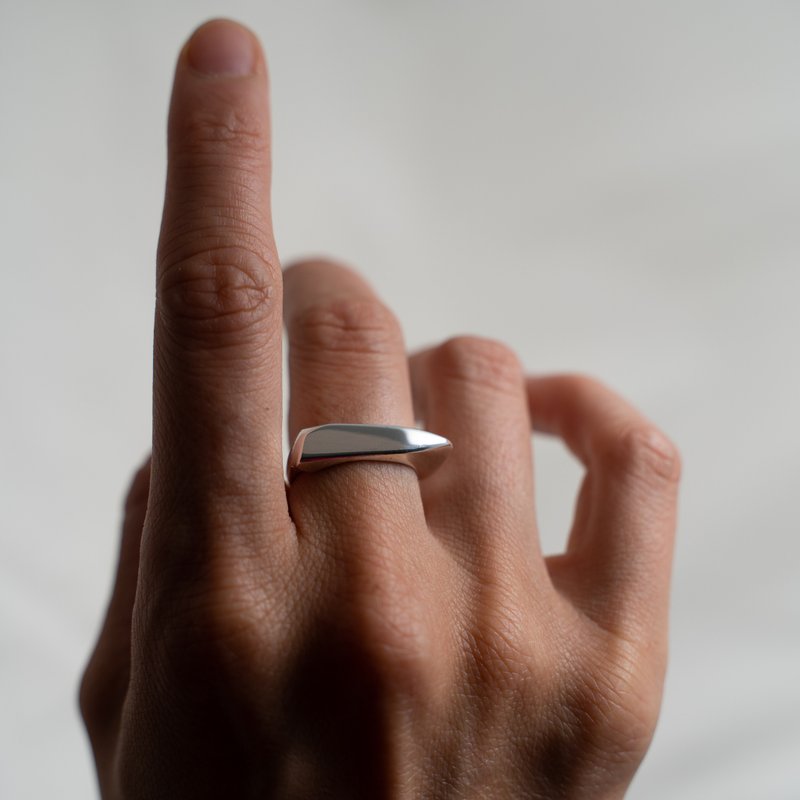 Handmade Signet Ring – Sterling Silver / Solid Gold – Modern Minimal Style - 戒指 - 純銀 銀色