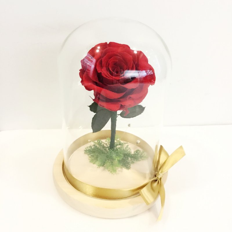 買一送一  不凋花玫瑰  大型玻璃罩花禮    正紅色 - 乾燥花/永生花 - 植物．花 紅色