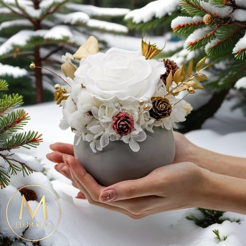 Winter limited cabin eternal flower gift (free 5ml fragrance oil) - ช่อดอกไม้แห้ง - พืช/ดอกไม้ ขาว