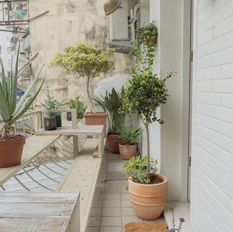 [Commercial Greening] Mediterranean European-style French-style balcony layout with Lofi-house - ตกแต่งต้นไม้ - พืช/ดอกไม้ 