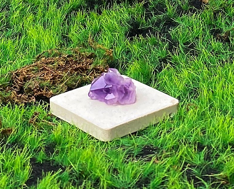 Natural cute dreamy amethyst flower backbone crystal amethyst healing wealth wisdom wealth luck - Items for Display - Crystal Purple
