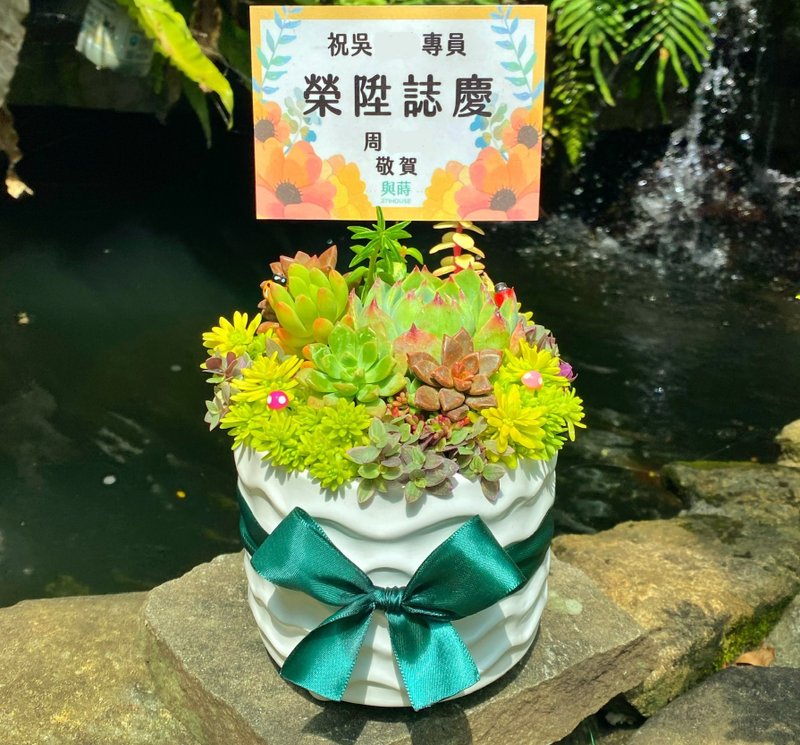 【急單可】免費客製卡片/多肉盆栽 /安全運送/陶瓷盆/陞遷 花 - 盆栽/植栽 - 植物．花 綠色