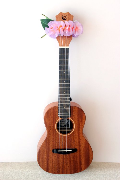 感謝価格❣️Aloha～❣️プルメリア、バラ、ウクレレ夏アレンジ❁⃘*.゜ 感謝価格❣️Aloha～❣️プルメリア、バラ、ウクレレ夏アレンジ