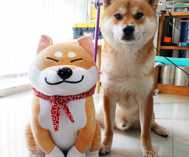 特注大型倉庫屋柴犬人形無料風呂敷ポケットエルクハット42cm ショップ Ikinari 人形 フィギュア Pinkoi