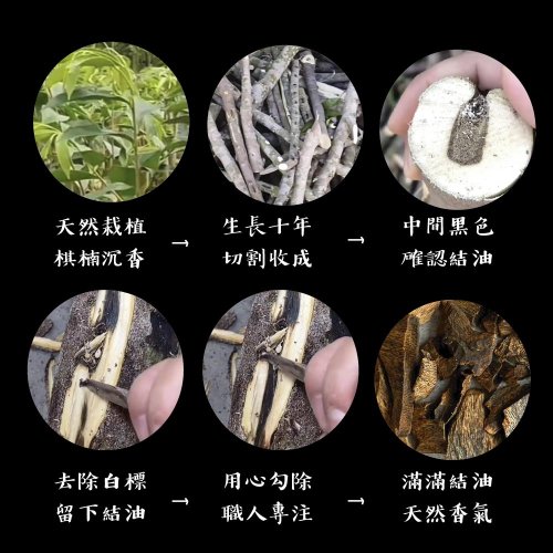 006 秦南王産最高級沈香（21cmインセンススティック20g