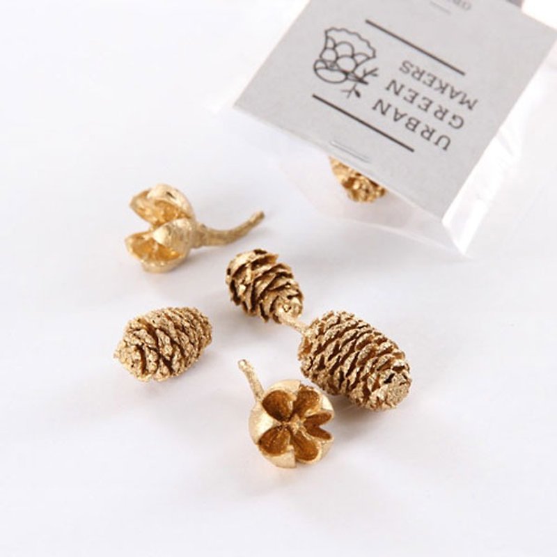 Dry fruit pine cones / golden - จัดดอกไม้/ต้นไม้ - พืช/ดอกไม้ สีทอง