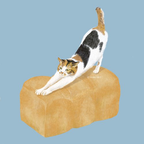 HokkiArt 福氣 貓咪篇 | 客製化寵物插畫 | 寵物肖像 寵物畫 似顏繪 | 寵物紀念