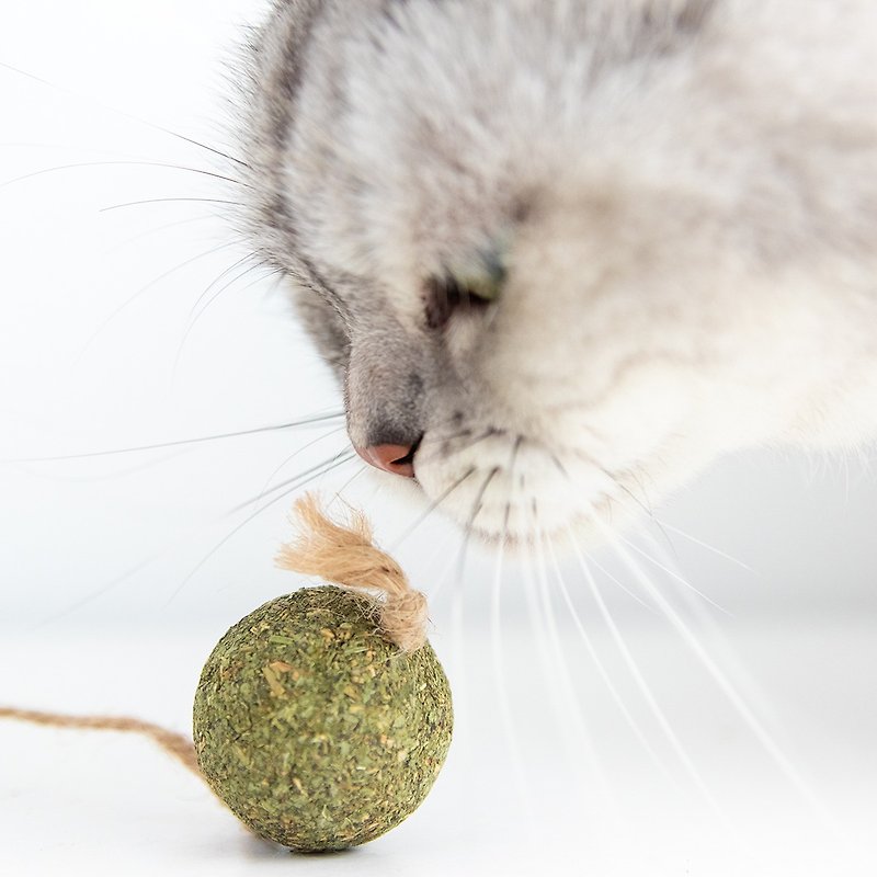 [Ange Home] Cat’s Gift Box-Catnip Balls (2pcs) - ของเล่นสัตว์ - กระดาษ 