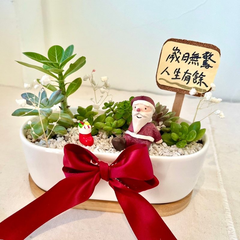 Santa Claus Christmas stocking Japanese-style succulent group pot succulent creative potted plant customized gift - ตกแต่งต้นไม้ - พืช/ดอกไม้ สีเขียว