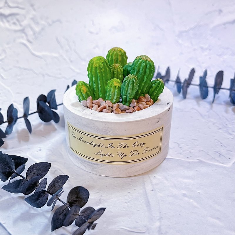 Cactus potted plants. Multi-cong jade forest potted plants. Succulent potted plants. Cactus aroma diffuser Stone. Free fragrance essential oils. - Fragrances - Stone Green