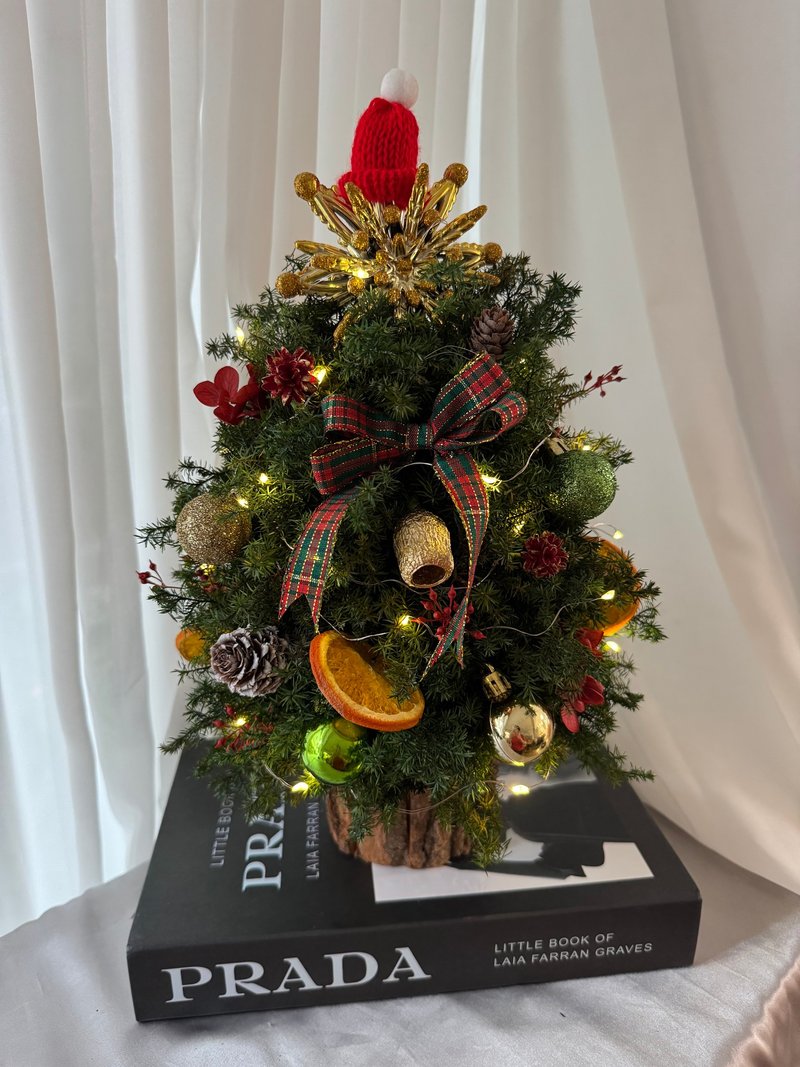 永生聖誕樹 聖誕樹 雪松 閃燈聖誕樹 - 乾燥花/永生花 - 植物．花 