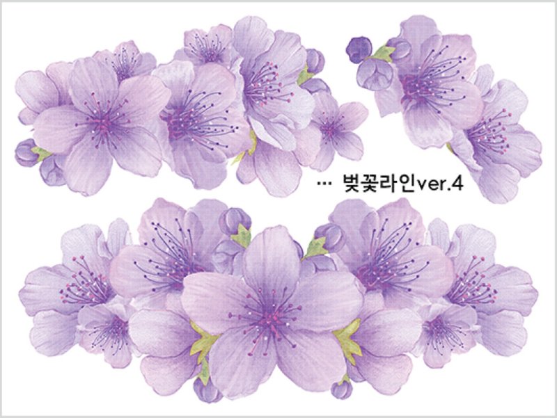 Cherry Blossom Bouquet Line 3types (blackraccoon) Vintage collage design paper - 貼紙 - 紙 多色