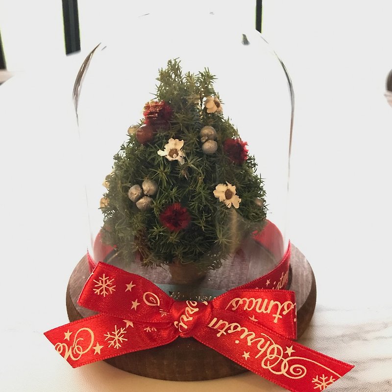 瓔珞莊園*S*玻璃罩盅*/聖誕節/白色聖誕節/聖誕樹/交換禮物 - 乾燥花/永生花 - 植物．花 