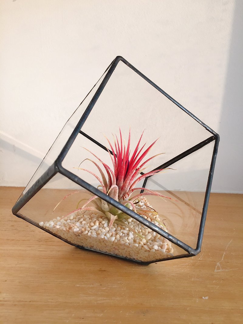 Pure natural DIY air pineapple geometry glass flower room gift healing potted - Plants - Plants & Flowers Red