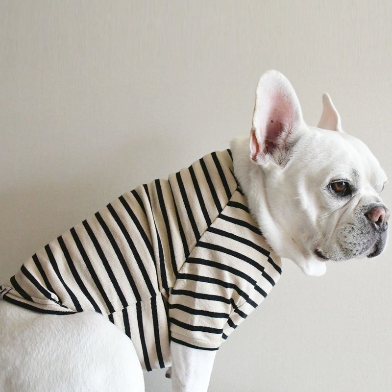 Basque Border Shirt _ Beige × Black _ For French bulldog - ชุดสัตว์เลี้ยง - ผ้าฝ้าย/ผ้าลินิน 