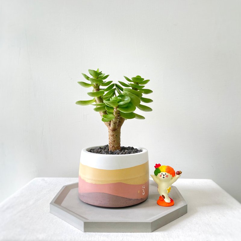 Cloud-leaf ancient trees·Sunset desert chubby Cement potted plants/Customized English letters - ตกแต่งต้นไม้ - ปูน สีส้ม