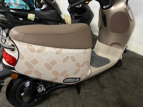 黑眼圈先生 寶石(裸光金) gogoro系列車套 防刮車套