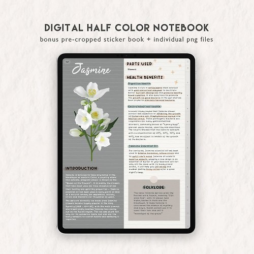 Papier Plan Digital Half Color Notebook (Winter Pine) for GoodNotes Notability Samsung Notes