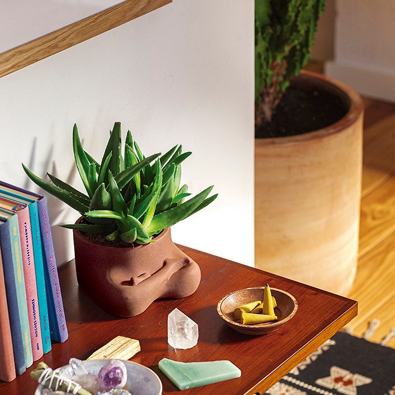 DOIY Calm and Calm-Flower Pot - Plants - Porcelain Brown