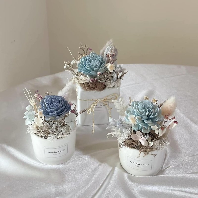 [Fragrance-diffusing small potted flowers] Birthday gift office souvenir blue flower gift customized diffused flowers - Items for Display - Plants & Flowers 