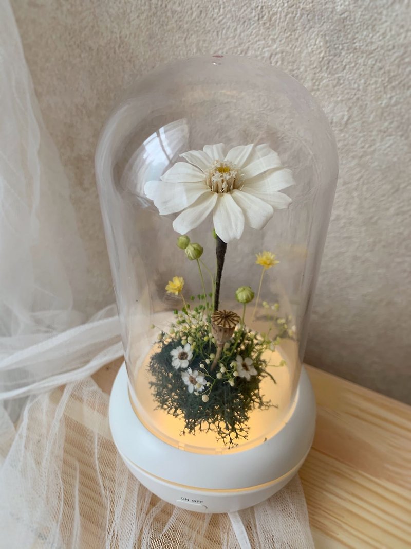 Immortal Daisy (Zinnia) Aroma Diffuser (USB Rechargeable)/Night Light/Fragrance/Essential Oil Diffuser - น้ำหอม - พืช/ดอกไม้ ขาว