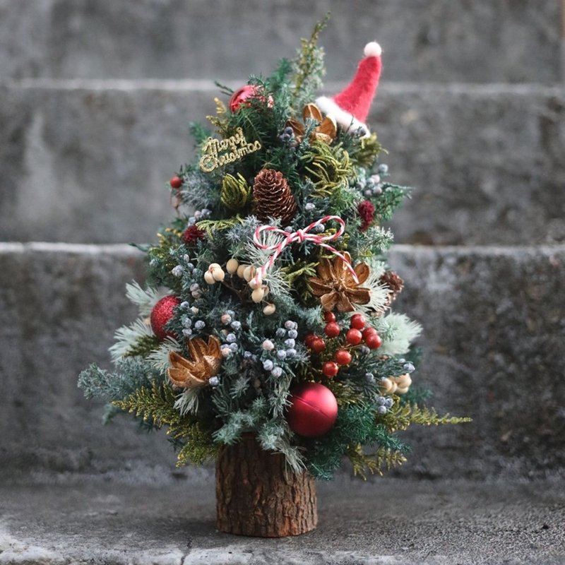 Everlasting cedar Christmas tree - ของวางตกแต่ง - พืช/ดอกไม้ 