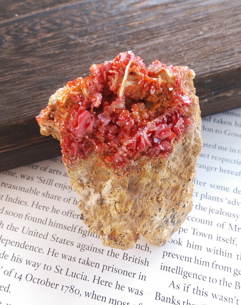 Vanadinite 摩洛哥產地 釩鉛礦 天然礦石 原礦 - 擺飾/家飾品 - 其他材質 
