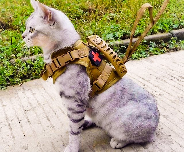 Tactical Cat | ubicaciondepersonas.cdmx.gob.mx