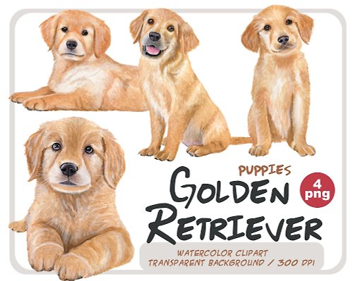 ArtfulStudio Watercolor Golden Retriever puppies clipart-Labrador png