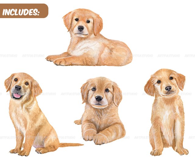 golden retriever puppy clipart