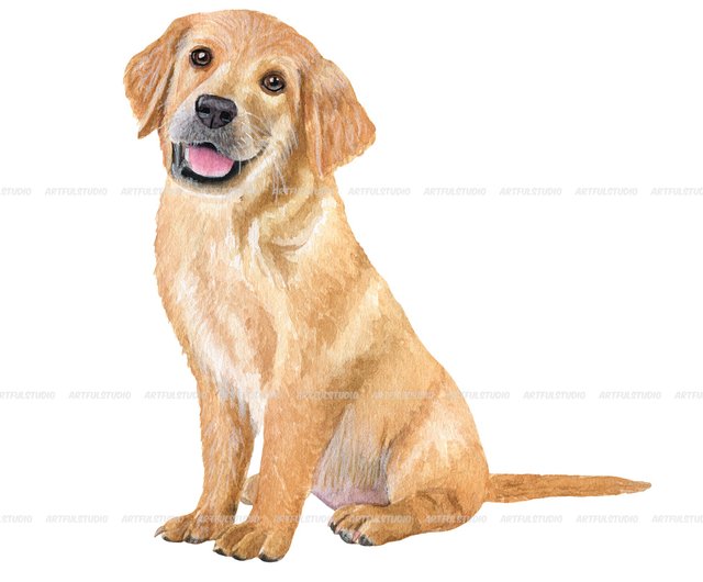 golden retriever puppy clipart