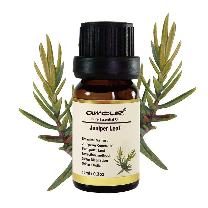 Juniper Leaf Essential Oil 10ml - Fragrances - Essential Oils Gray