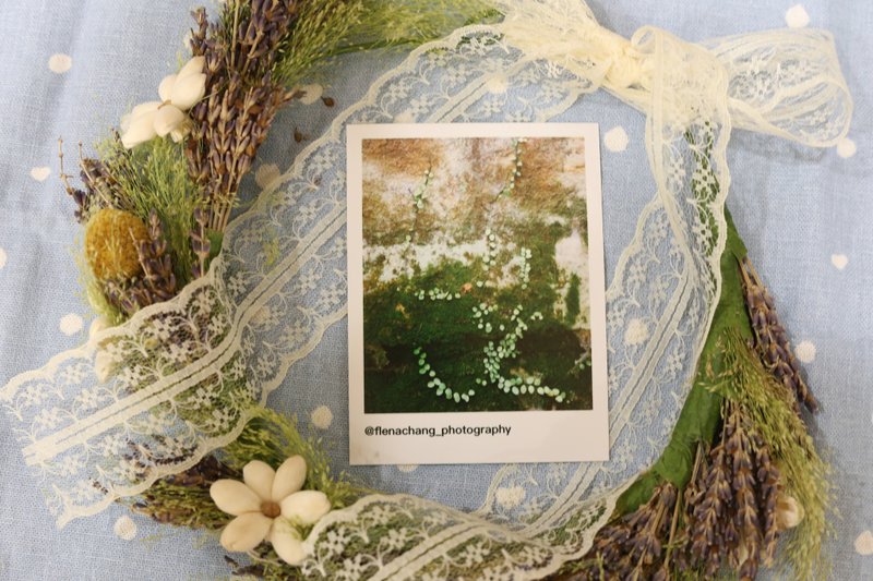 [Photo card] Plants spread into a poem in the heart, plant walk - Cards & Postcards - Paper White