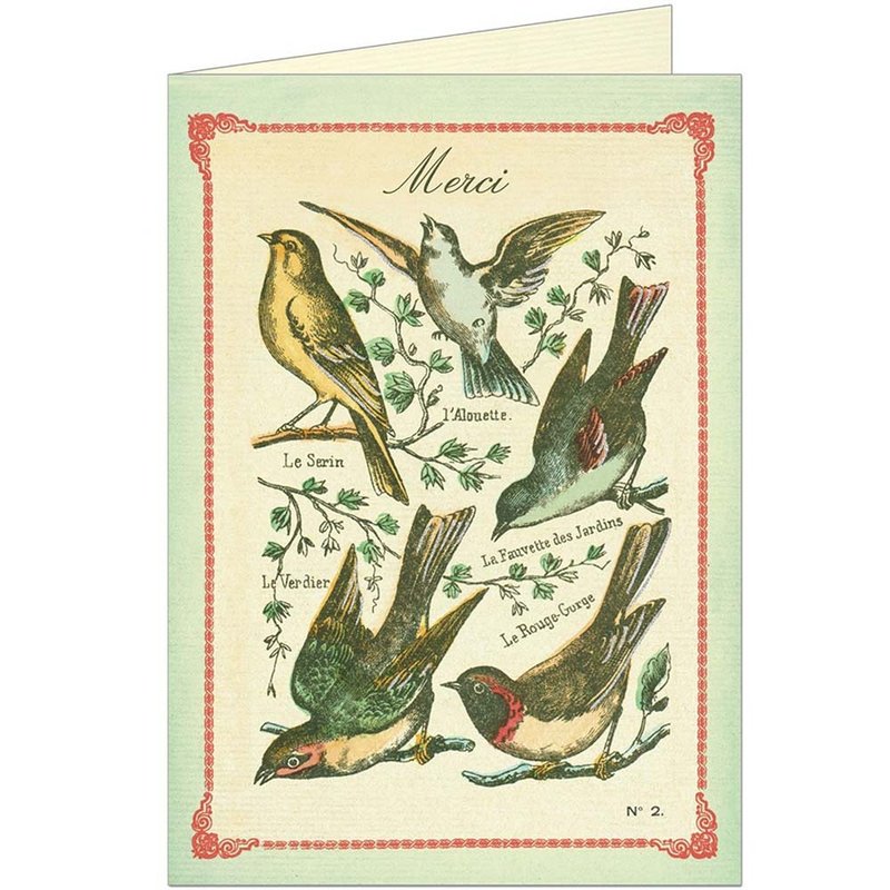 Cavallini & Co. GREETING CARD (Large)_Birds - การ์ด/โปสการ์ด - กระดาษ หลากหลายสี