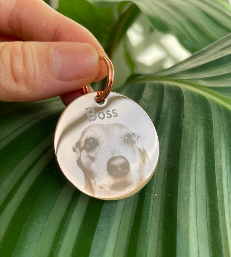 [Customized laser engraving] 30mm pet photo anti-lost tag - Keychains - Other Metals Gold