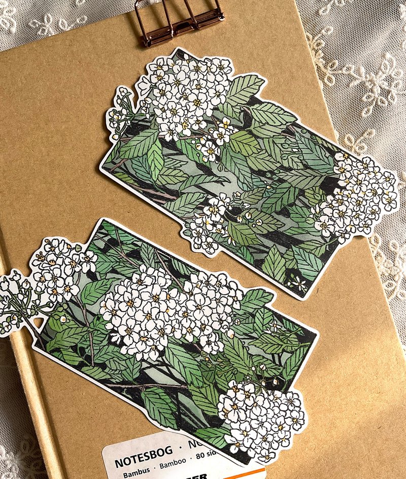 fleeting greenness - bridal wreath flower die cut sticker (dami) vintage gift - 貼紙 - 紙 白色