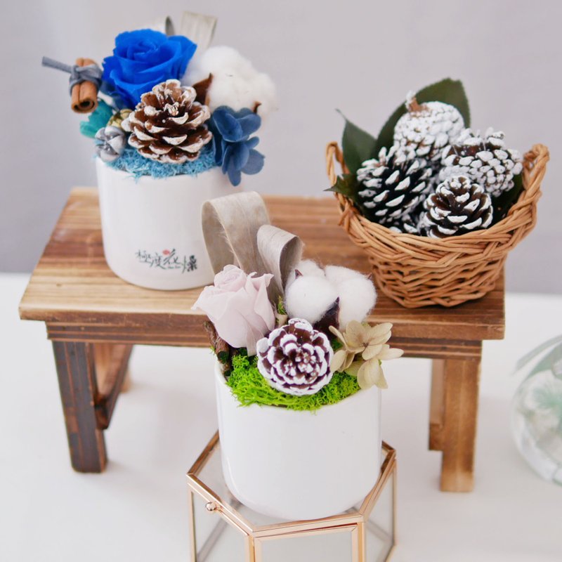 Christmas small table flowers are extremely dry and immortal flower gift - Dried Flowers & Bouquets - Plants & Flowers Multicolor