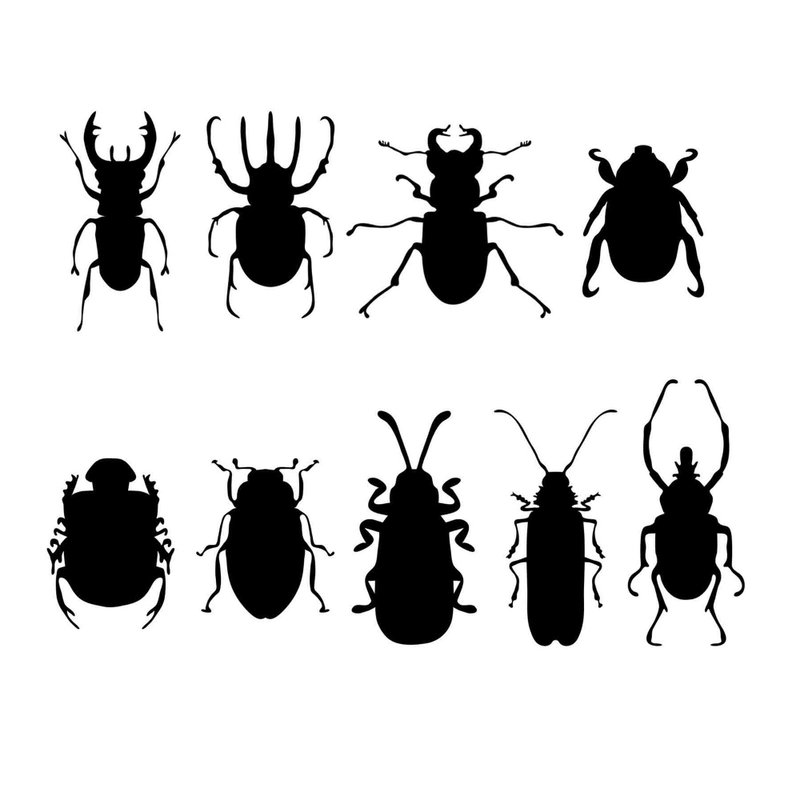 バグ svg、カブトムシ svg、バグ svg、カブトムシ svg、バグ pdf、カブトムシ pdf、バグ テンプレート - デザインテンプレート - その他の素材 