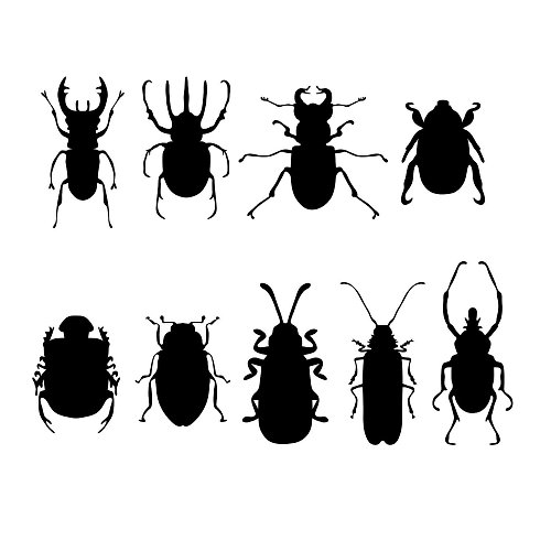JustGreatPrintables Bug svg, beetle svg, bugs svg, beetles svg, bug pdf, beetle pdf, bug template