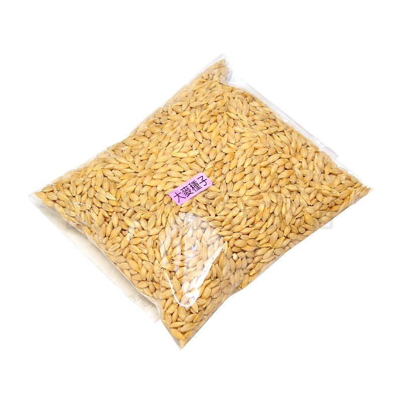 【MOMOCAT】Barley Cat Grass Seeds 250g - อื่นๆ - พืช/ดอกไม้ 