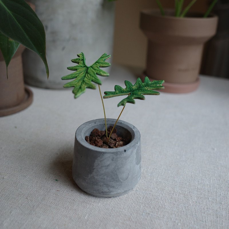 傑克林觀音蓮觀葉皮革盆栽 - 植栽/盆栽 - 真皮 綠色